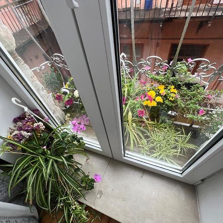 Apartment In The City Center Mini Івано-Франківськ Екстер'єр фото