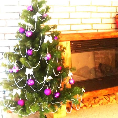 Apartment In The City Center Mini Івано-Франківськ Екстер'єр фото