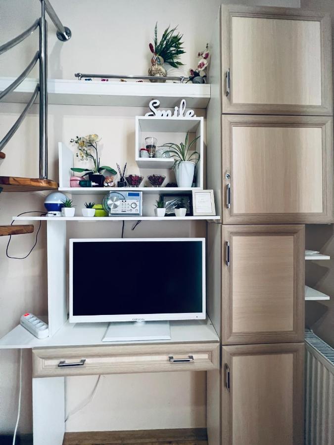 Apartment In The City Center Mini Івано-Франківськ Екстер'єр фото