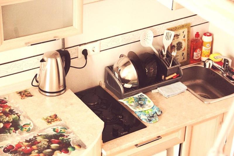 Apartment In The City Center Mini Івано-Франківськ Екстер'єр фото